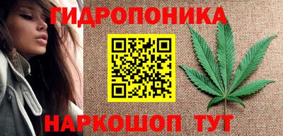 крисы Рязань