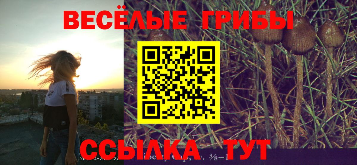 Псилоцибиновые грибы Cubensis Серпухов